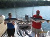 (08/15/2015) - Nice Striped Bass